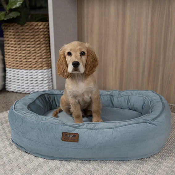Kazoo Loop Neck Support Dog Bed - Blue