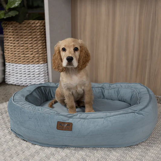 Kazoo Loop Neck Support Dog Bed - Blue