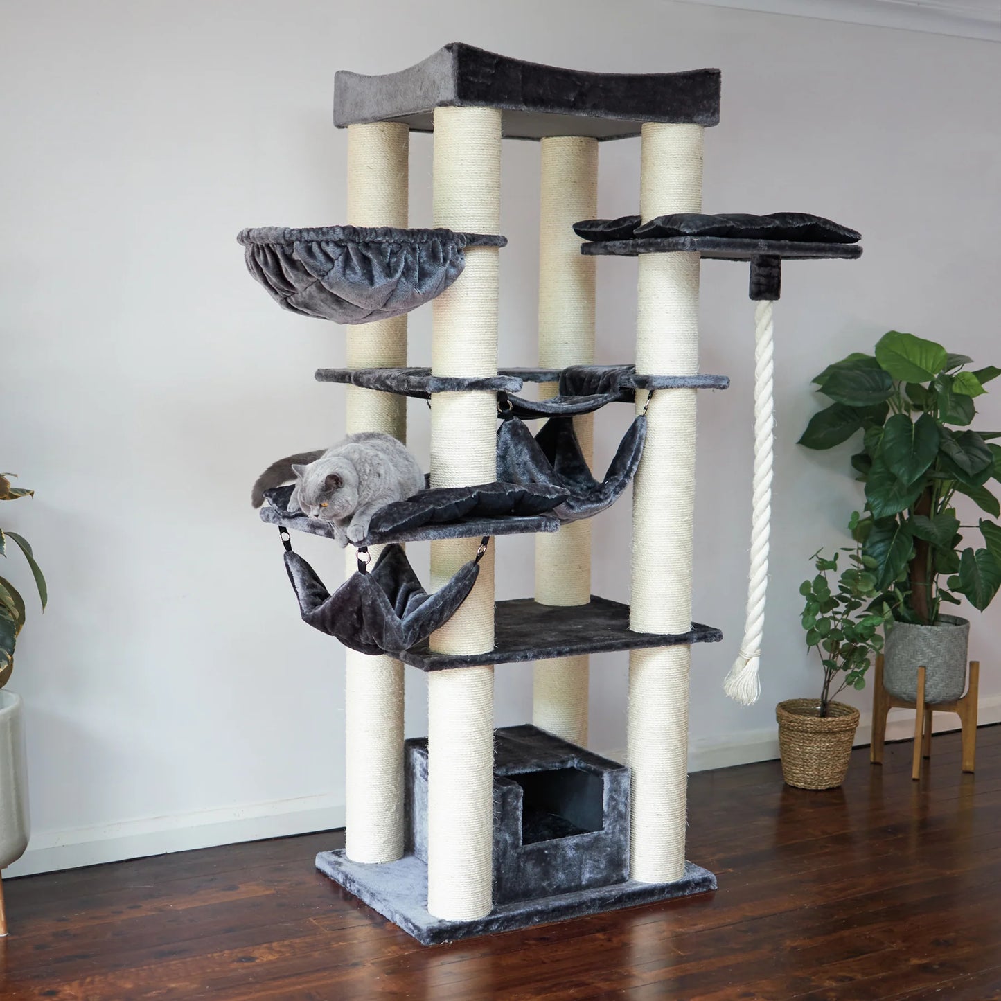 Kazoo Kitty Tower Playground