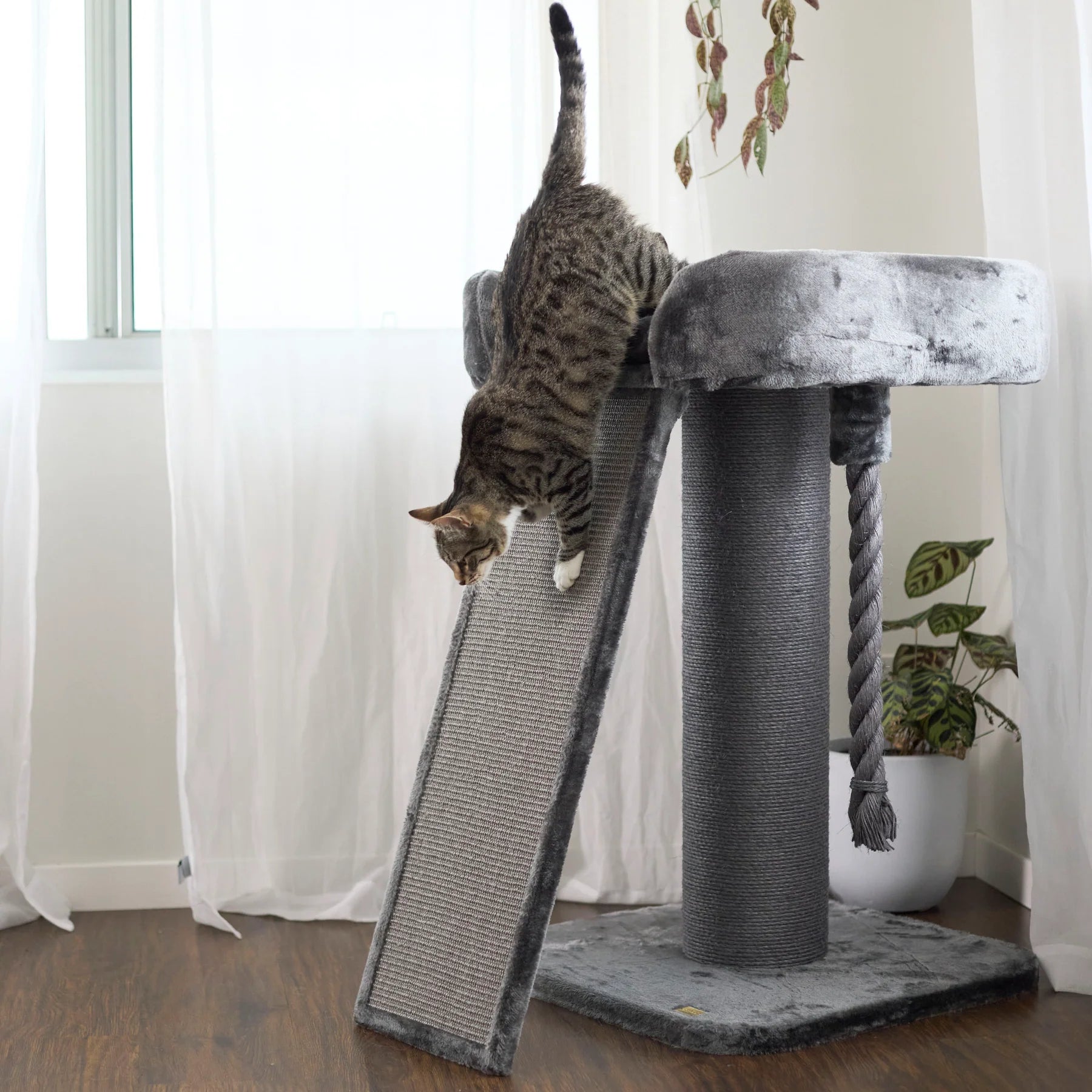 Kazoo High Bed Cat Scratch Post with Ramp - Charcoal – Petcare Warehouse