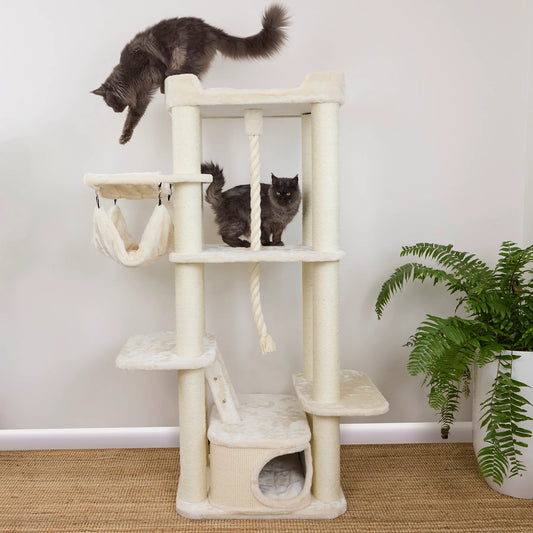 Kitty Climb Playground - Cream