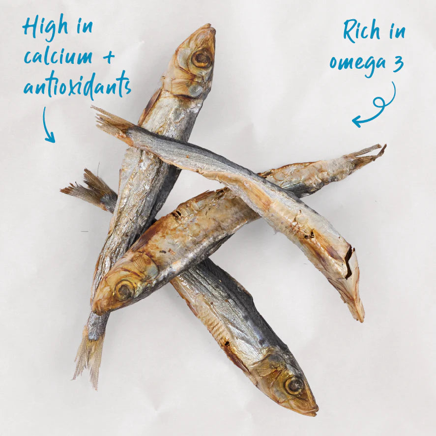 Kazoo Prime Cuts Aussie Sardines Dog Treats 100g