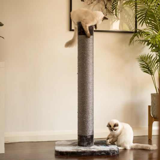 Kazoo Scratch Post Charcoal - Large