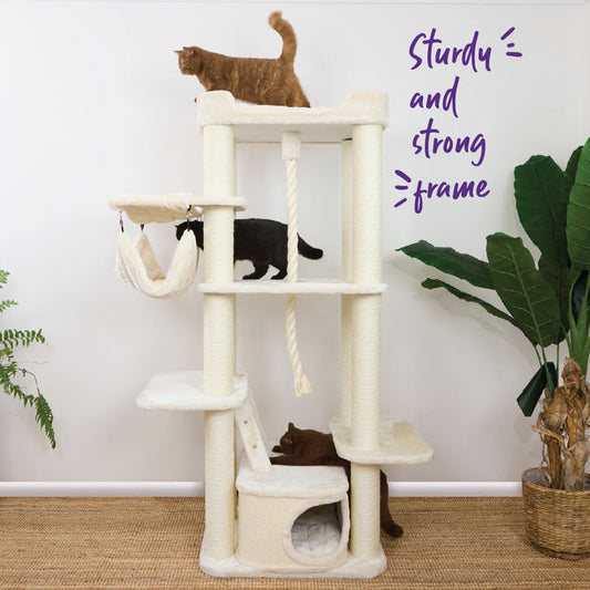 Kazoo Kitty Climb Playground - Cream