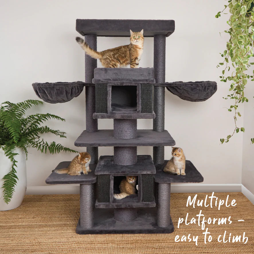 Scratchelor Pad Cat Tree - Grey