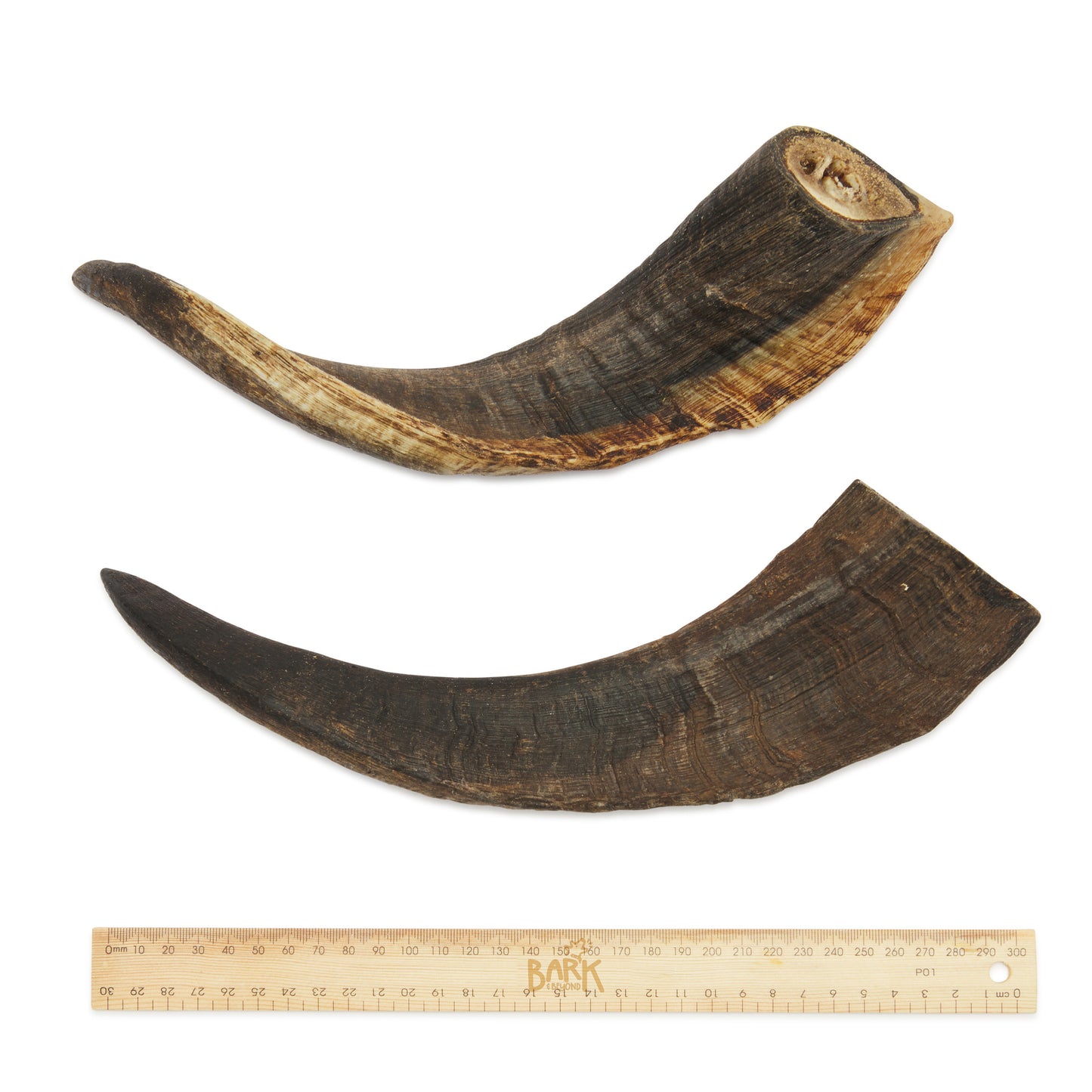 Bark & Beyond Goat Horn Large