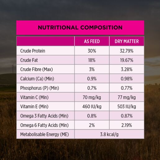 Pro Plan Sensitive Skin and Stomach Small & Toy Breed