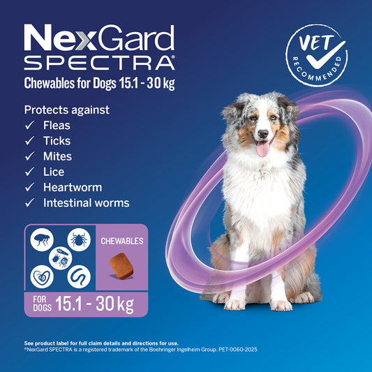NEXGARD Spectra Purple 15.1kg-30kg