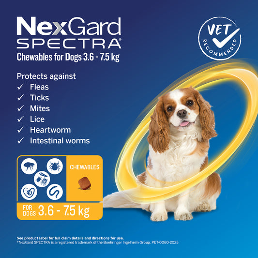 NEXGARD Spectra Yellow 3.6kg-7.5kg
