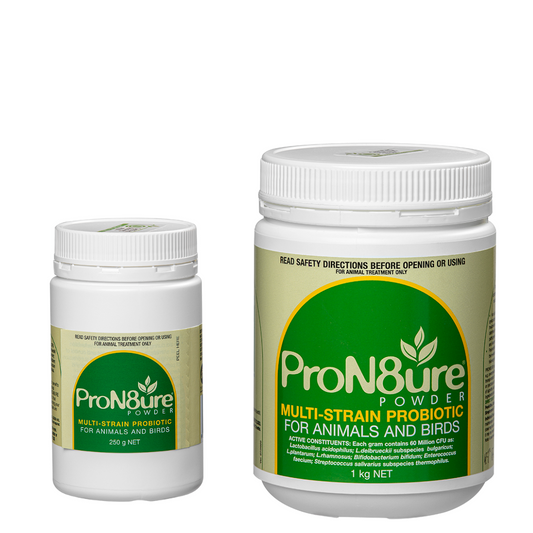 ProN8ure Probiotic Powder