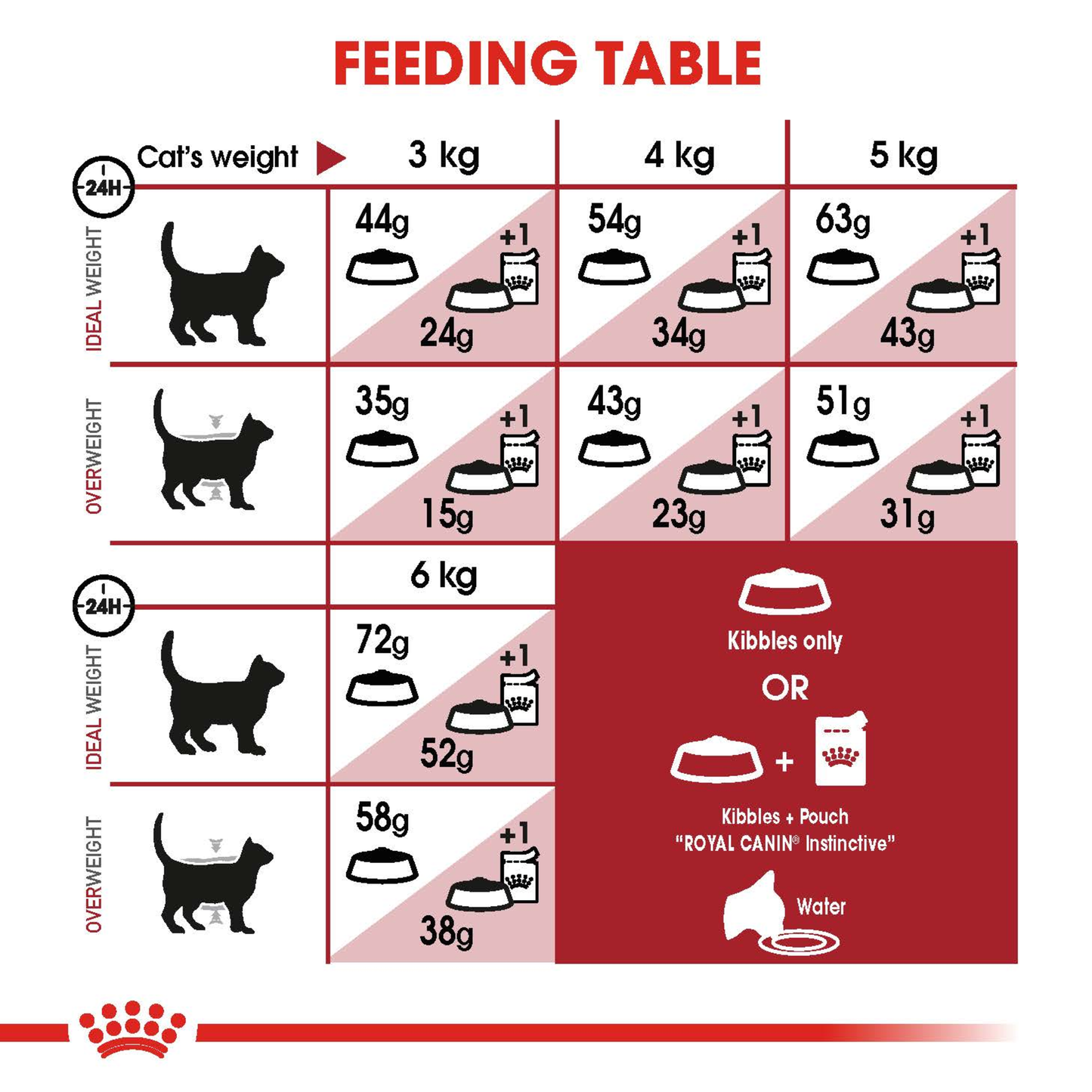 Royal Canin Regular Fit Dry Cat Food