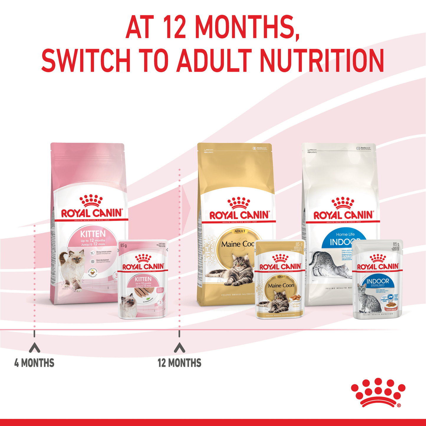 Royal Canin Kitten Dry Food