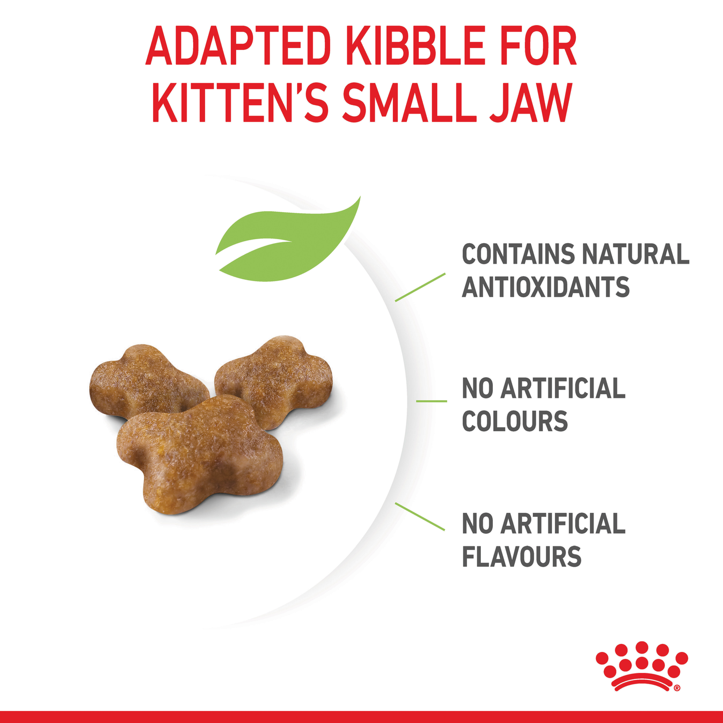 Royal Canin Kitten Dry Food