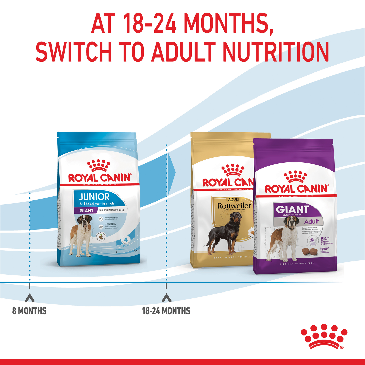 Royal Canin Giant Junior Dry Food 15kg