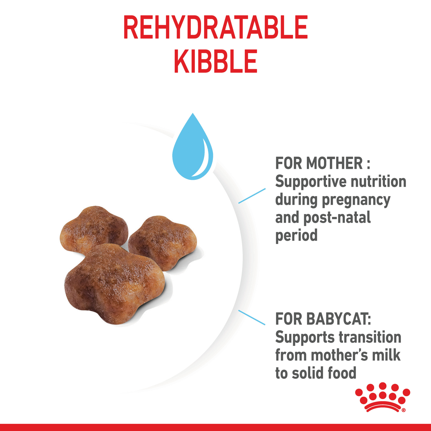 Royal Canin Mother & Babycat Cat Food