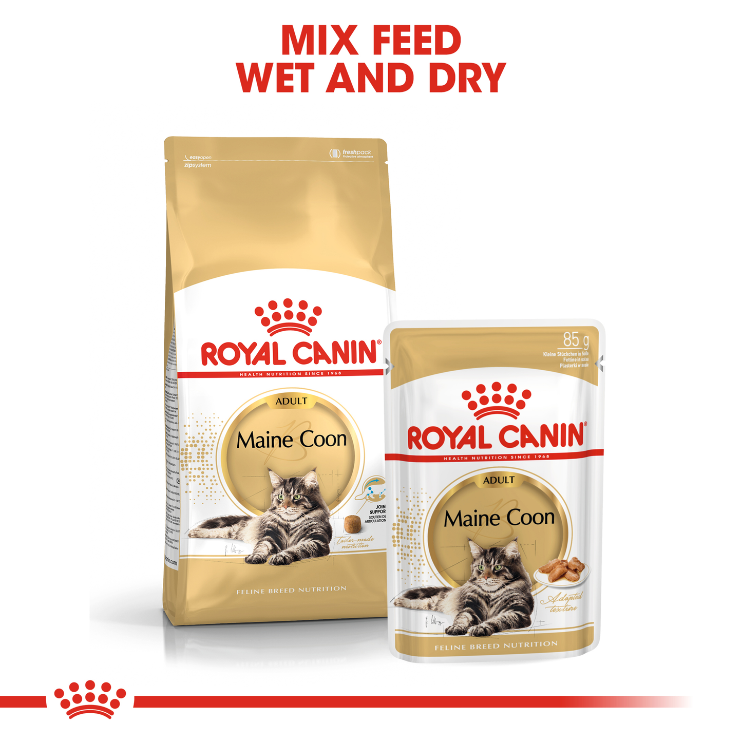 Royal Canin Maine Coon Adult Dry Food