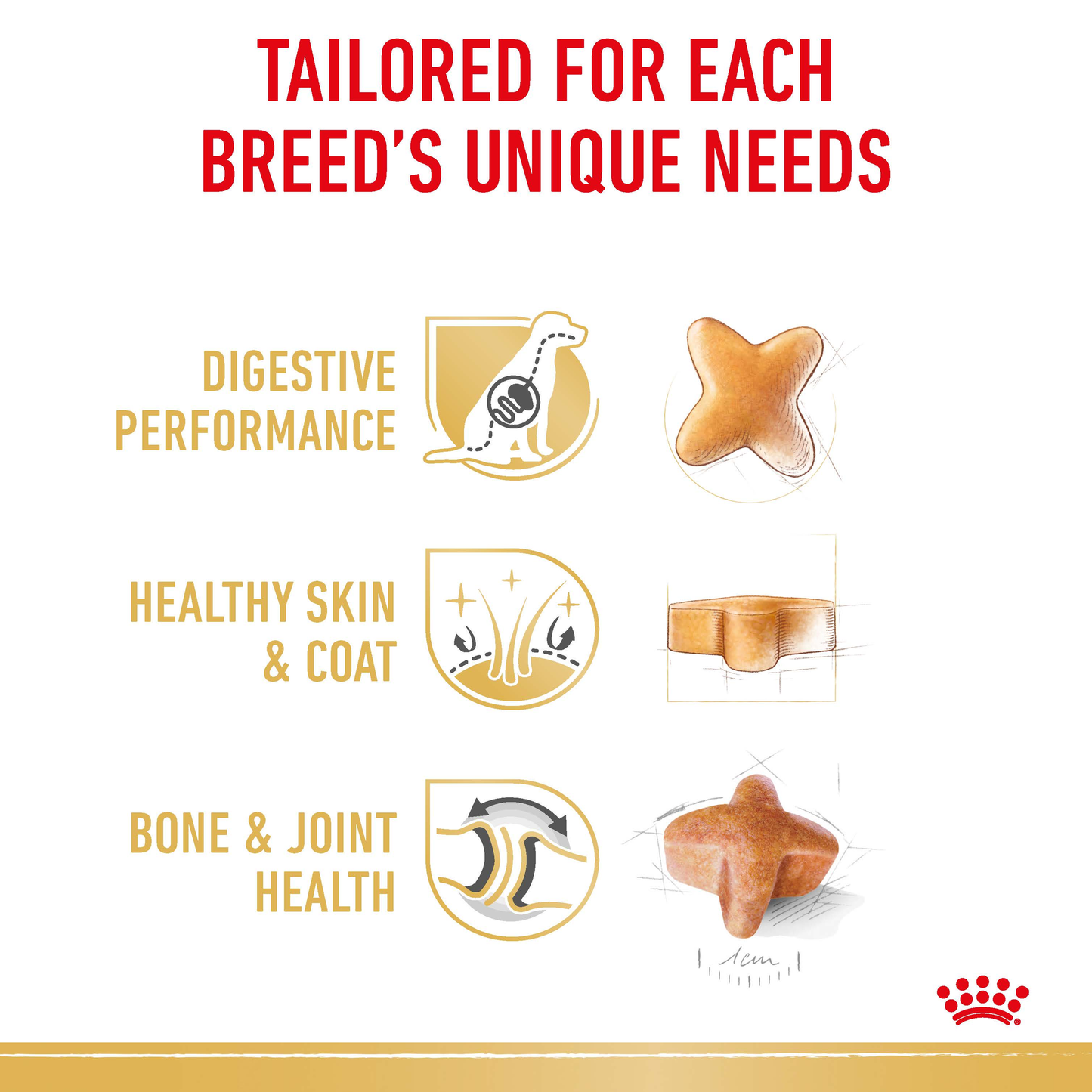 Royal Canin German Shepherd Dry Food 11kg