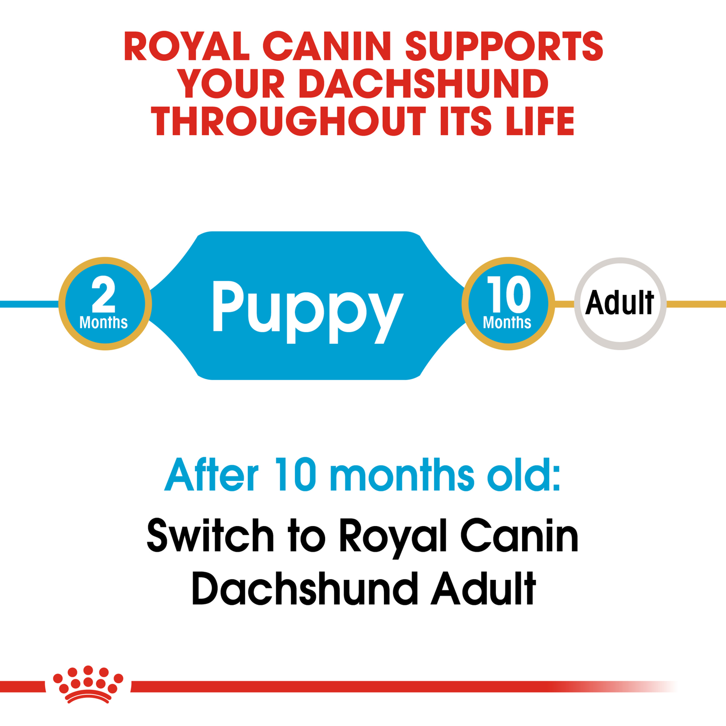 Royal Canin Dachshund Puppy Dry Food 1.5kg