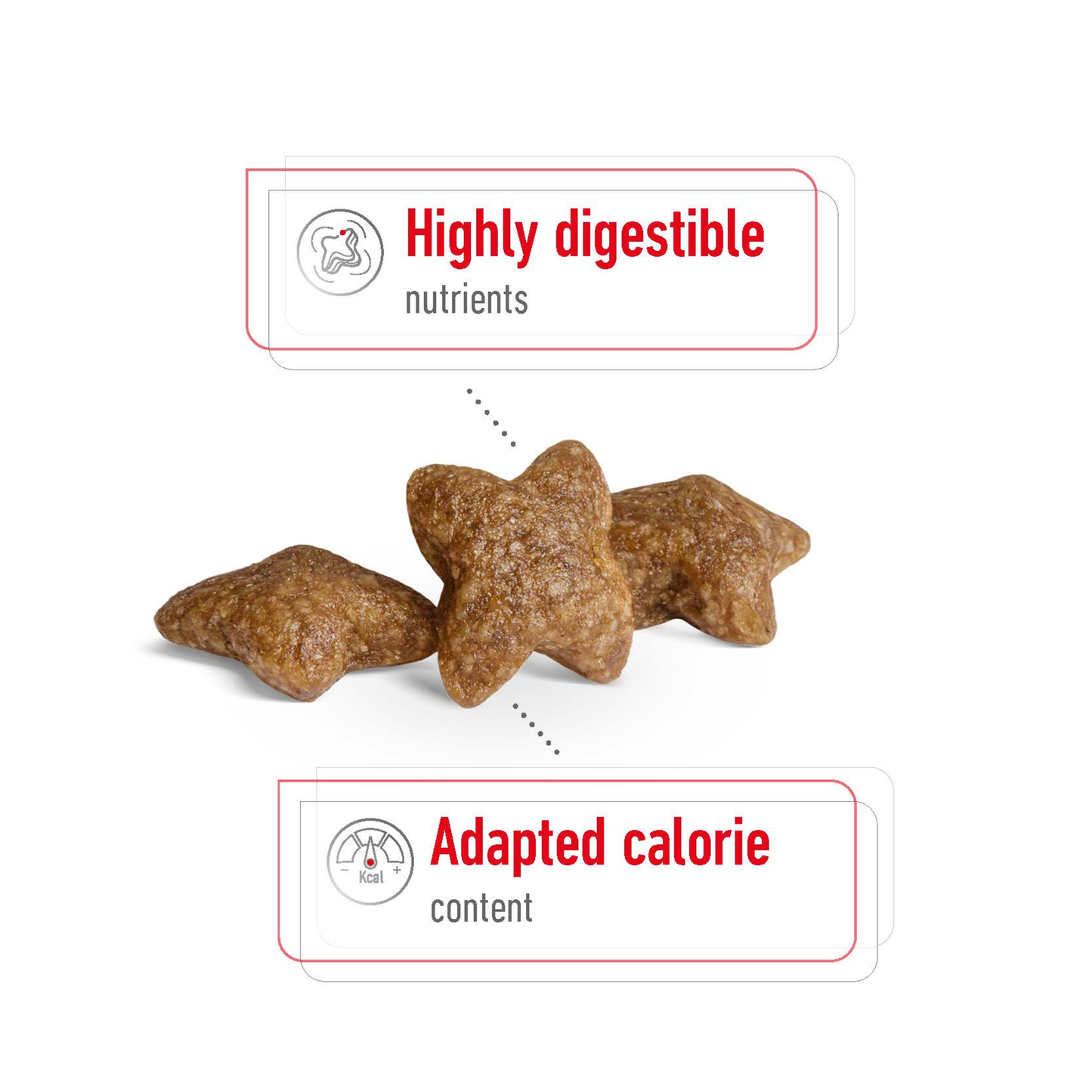 Royal Canin Mini Adult Dry Food