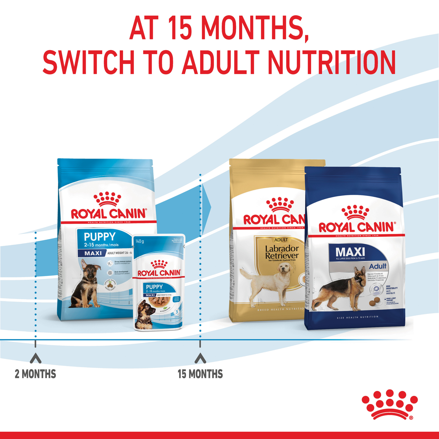 Royal Canin Maxi Puppy Dry Food