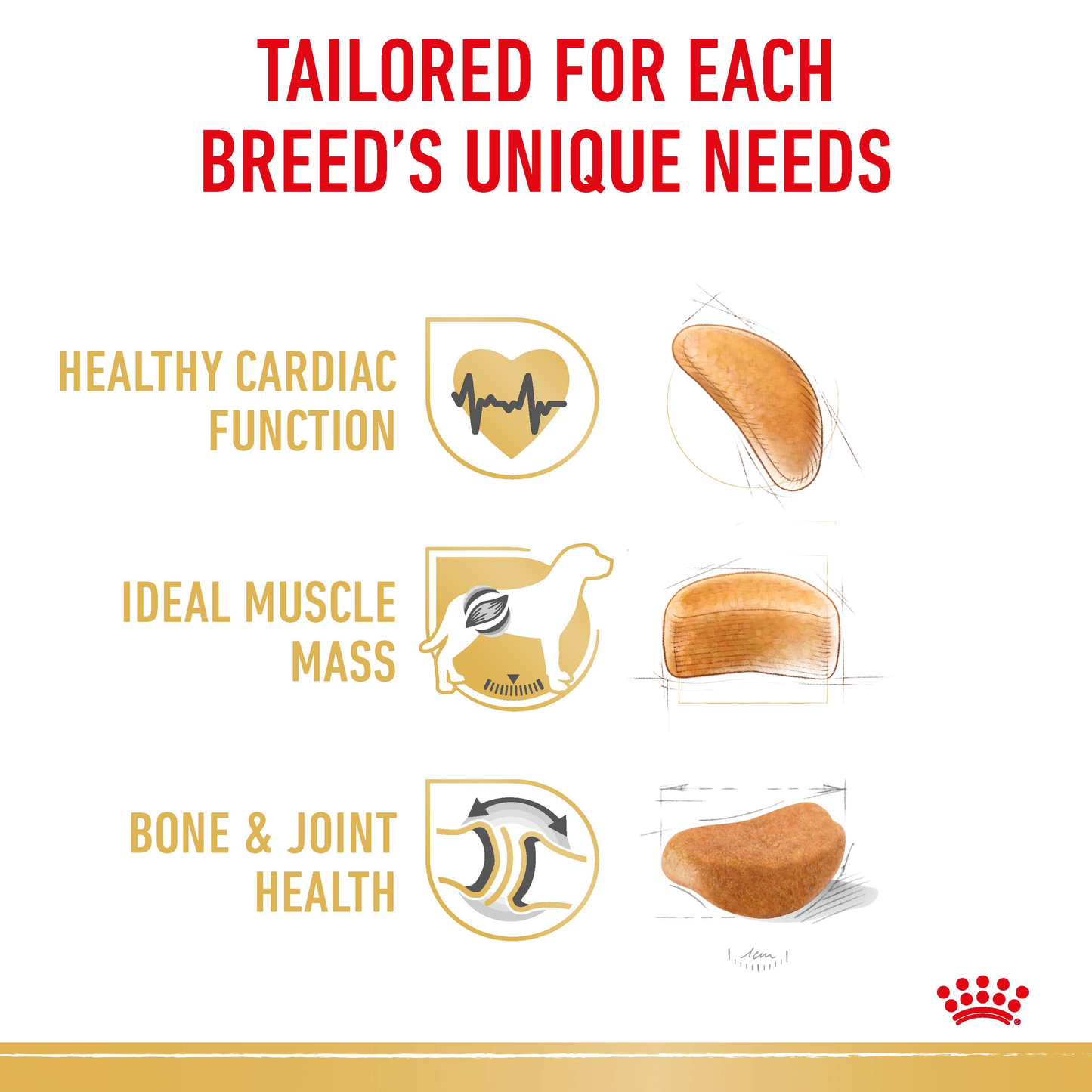 Royal Canin Rottweiler Adult Dry Food 12kg