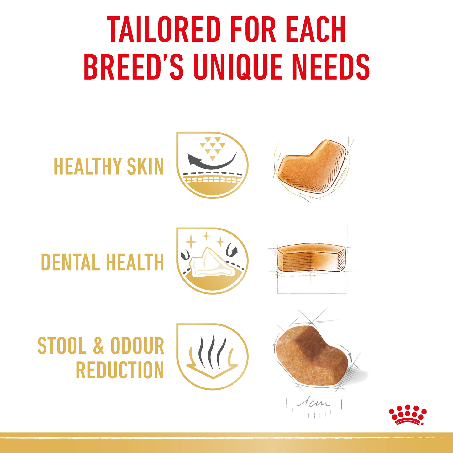 Royal Canin Shih Tzu Adult Dry Food