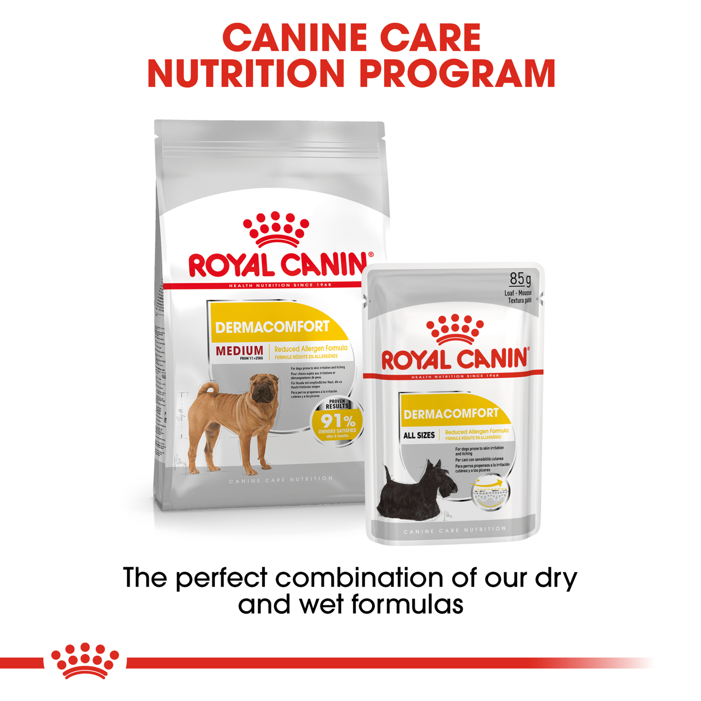 Royal Canin Medium Dermacomfort Dry Food