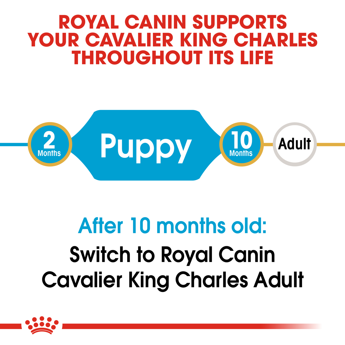 Royal Canin Cavalier King Charles Puppy Dry Food 1.5kg