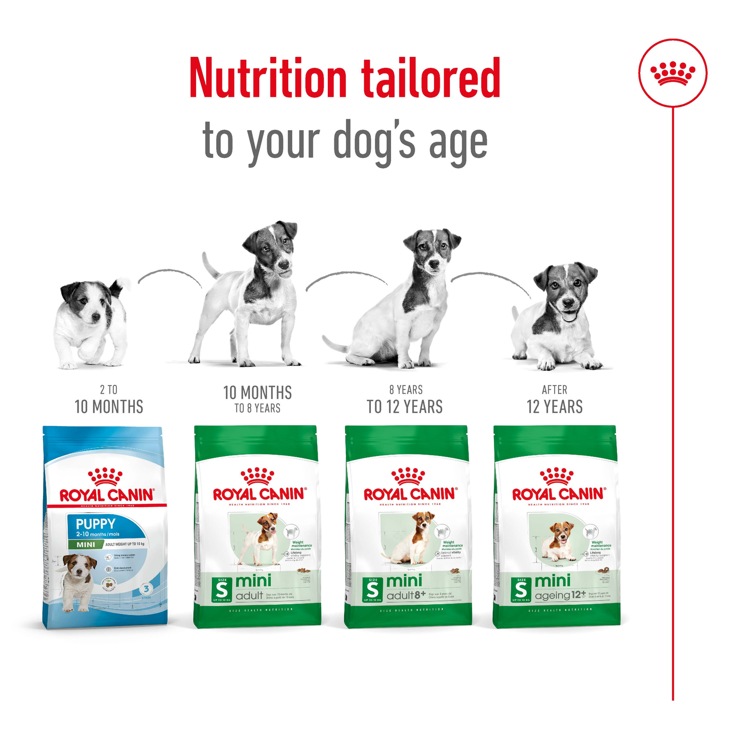 Royal Canin Mini Adult 8+ Dry Food 2kg