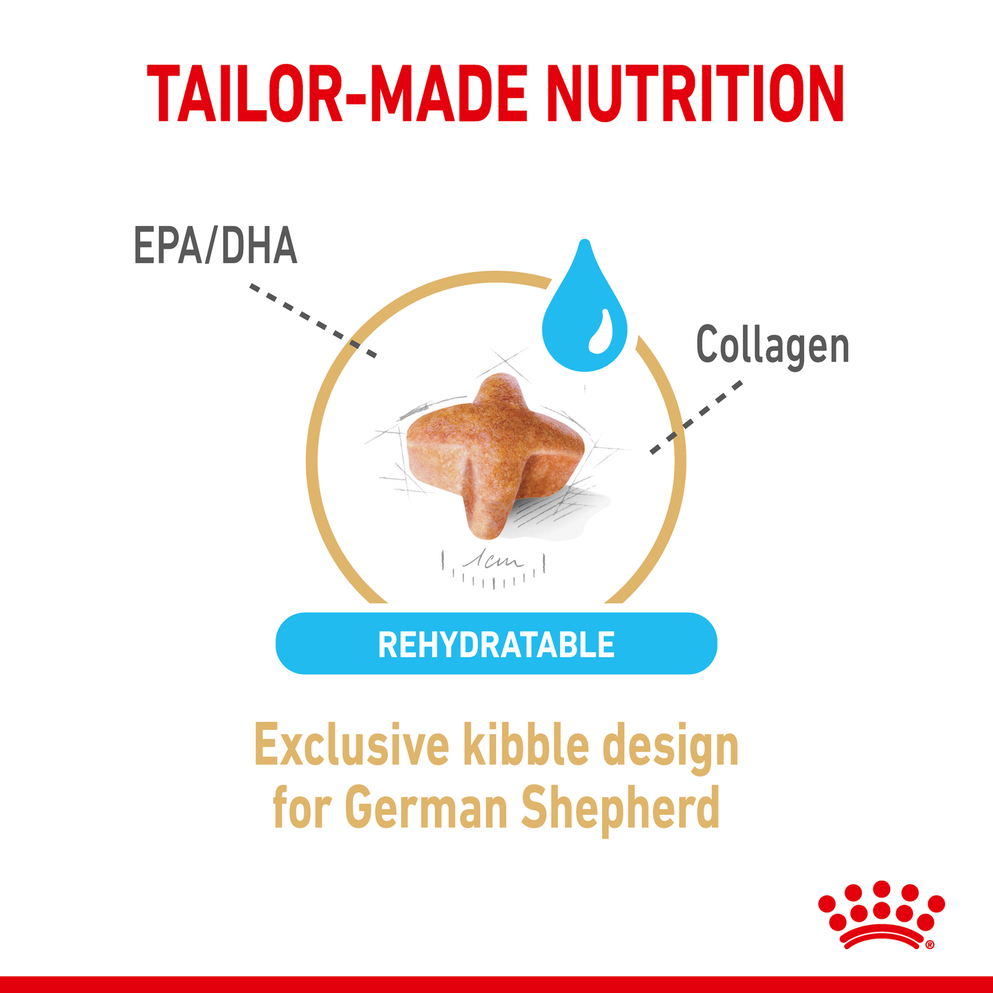 Royal Canin German Shepherd 5+ Senior Dog Food