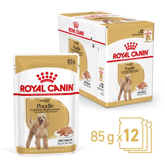 Royal Canin Poodle 12x85g