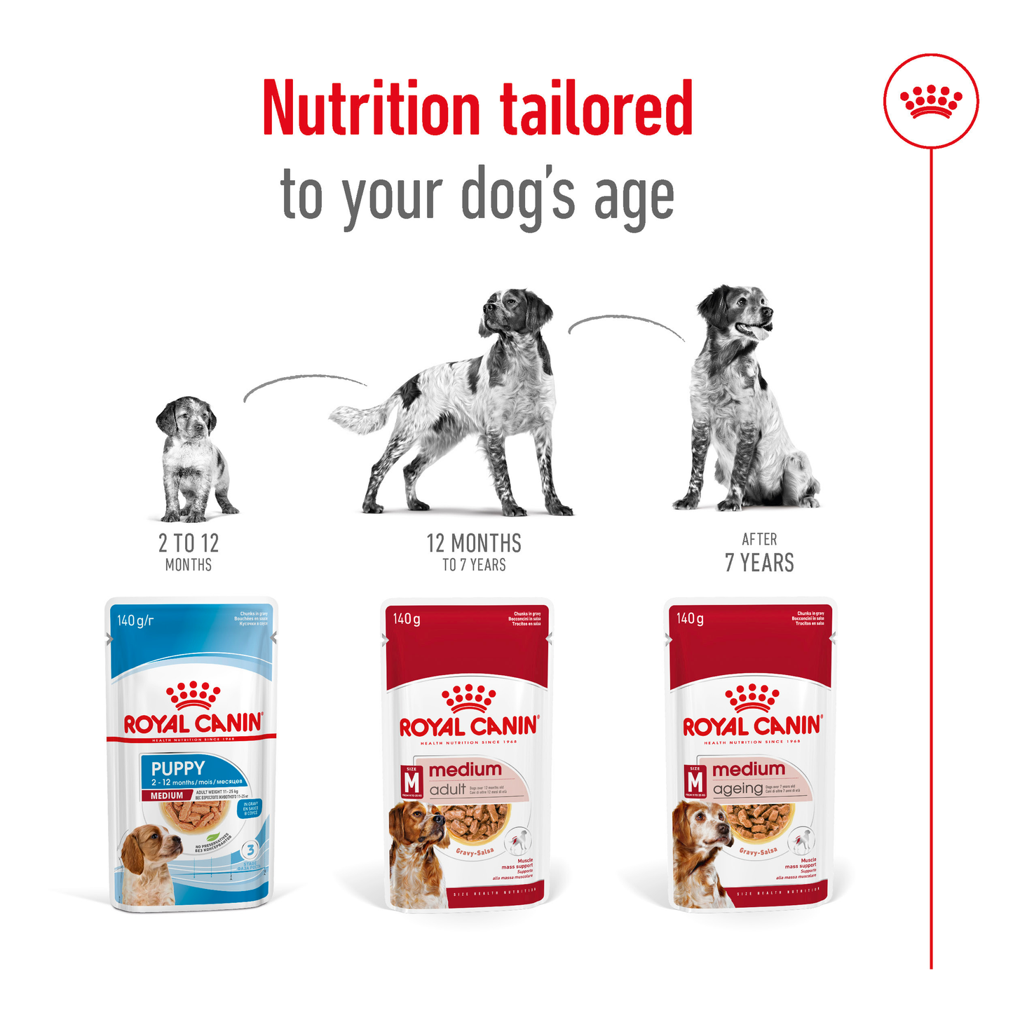 Royal Canin Medium Adult Gravy 10x140g