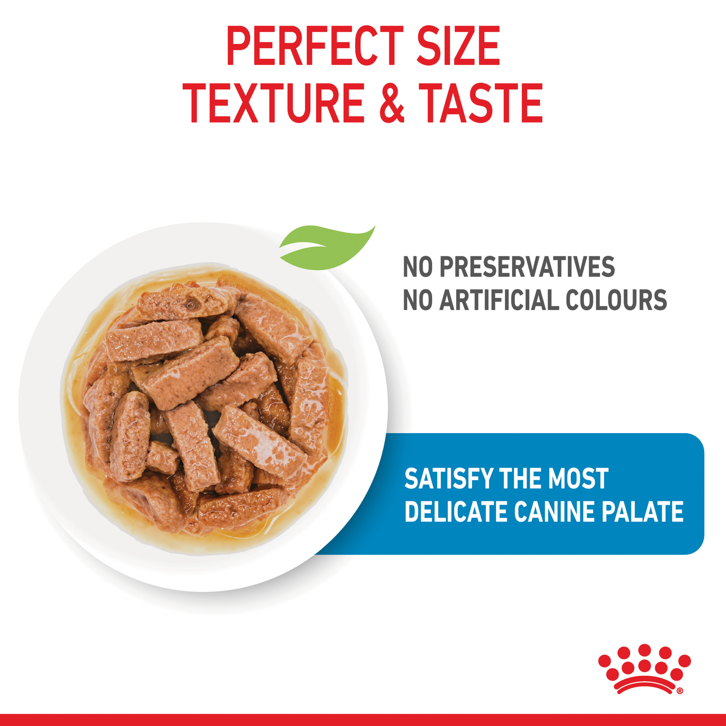 Royal Canin Maxi Puppy Gravy 10x140g