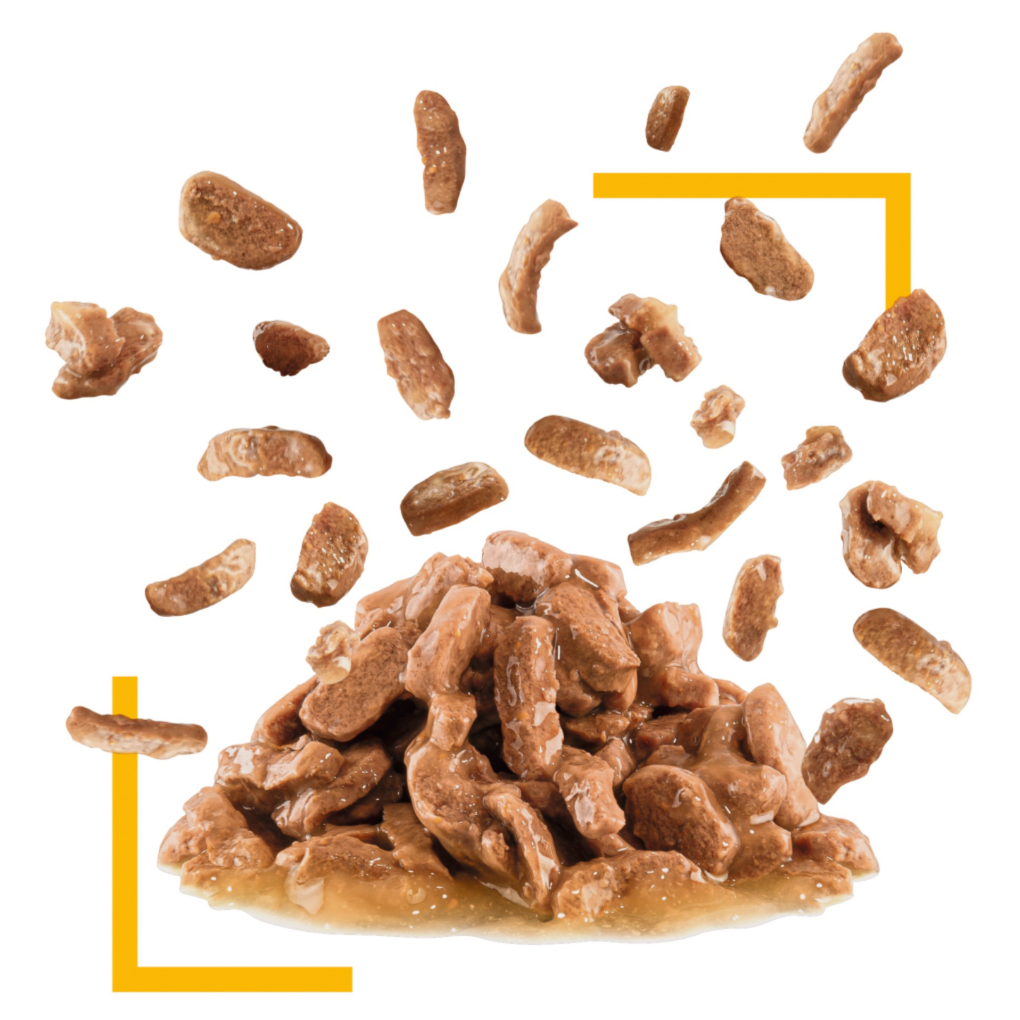 Royal Canin Sensory Taste Gravy Pouches 12x85g