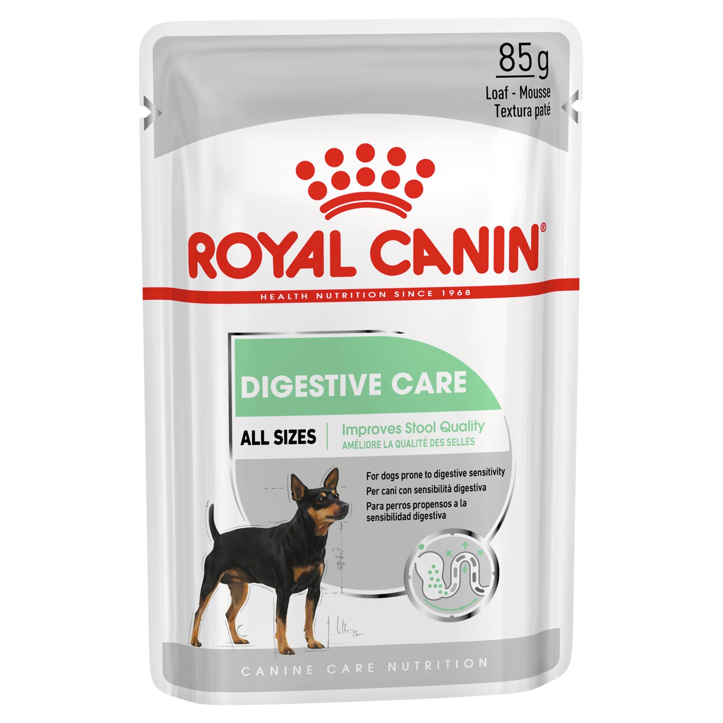 Royal Canin Digestive Care Loaf 12x85g