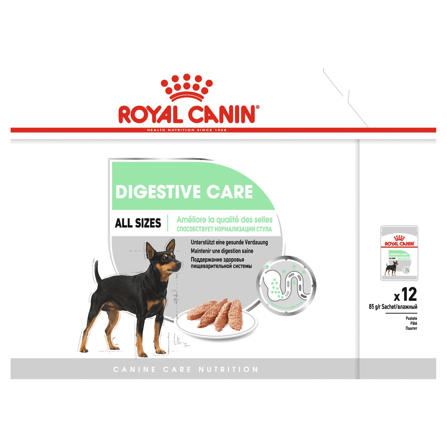 Royal Canin Digestive Care Loaf 12x85g