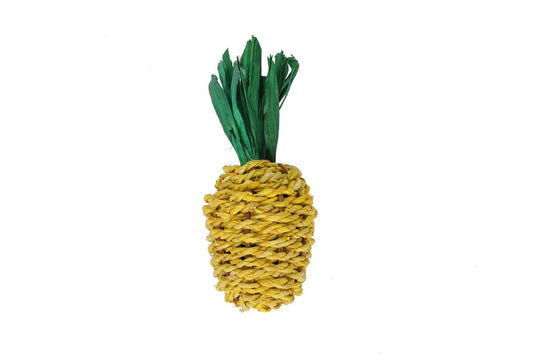 Nature Island Chew 'n' Play Pineapple