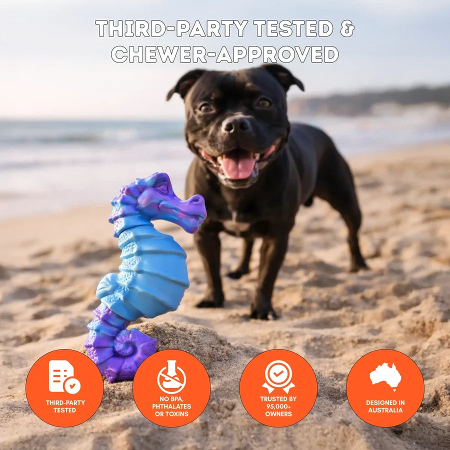 Happy Staffy Co Seahorse Splash