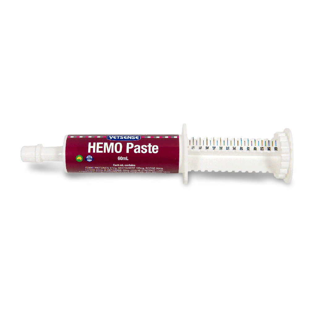 VETSENSE HEMO PASTE 60ML