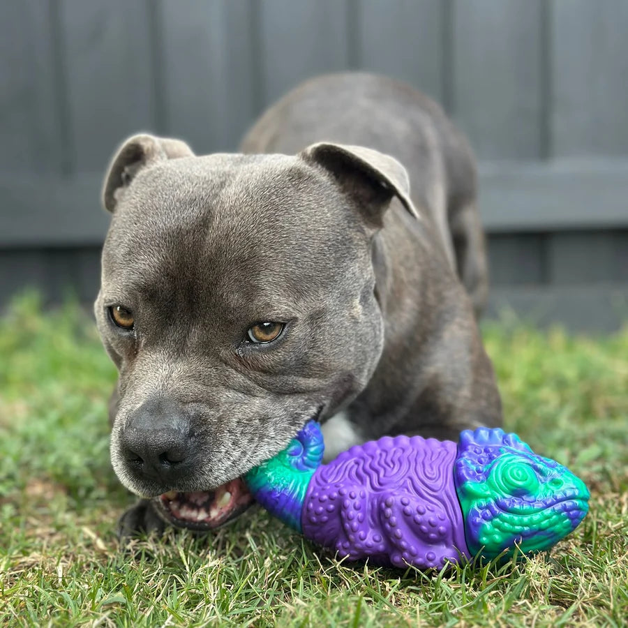 Happy Staffy Co Camo The Chameleon