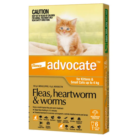 Advocate for Kittens and Cats Up to 4kg