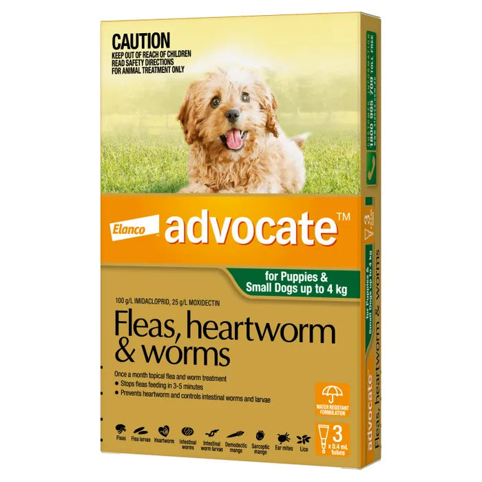 Advocate for Puppies and Dogs up to 4kg Green