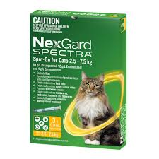 NEXGARD Spectra for Cats Yellow 2.5-7.5kg