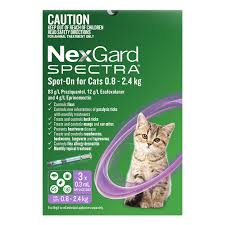 NEXGARD Spectra for Kittens and Cats Purple 0.8-2.4kgs