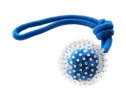 All Pet Ruff Play Spikey Ball Tug Rope