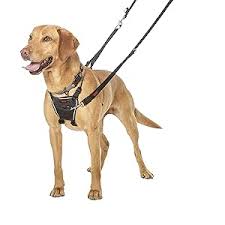 Halti No Pull Harness