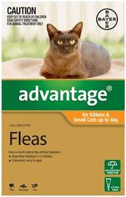 Advantage Orange for Kittens and Cats up to 4kg