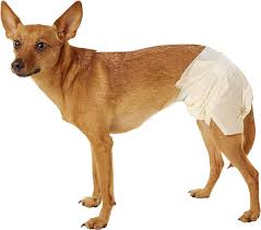 DogIt Disposable Diapers