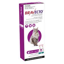 Bravecto Purple for Cats 6.25-12.5kgs