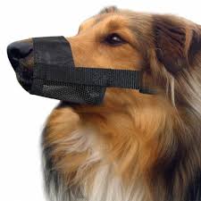 Pet One Adjustable Nylon Muzzle